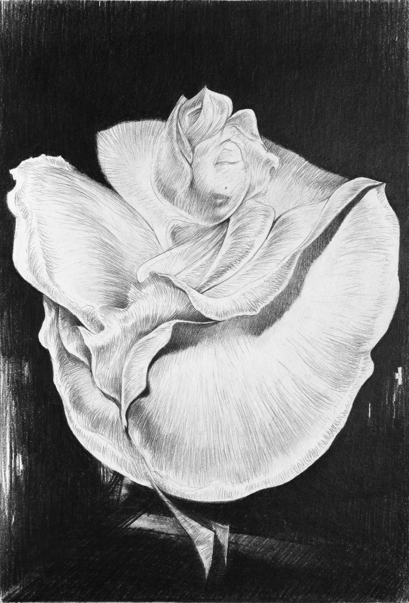 Persona Satyricona drawing