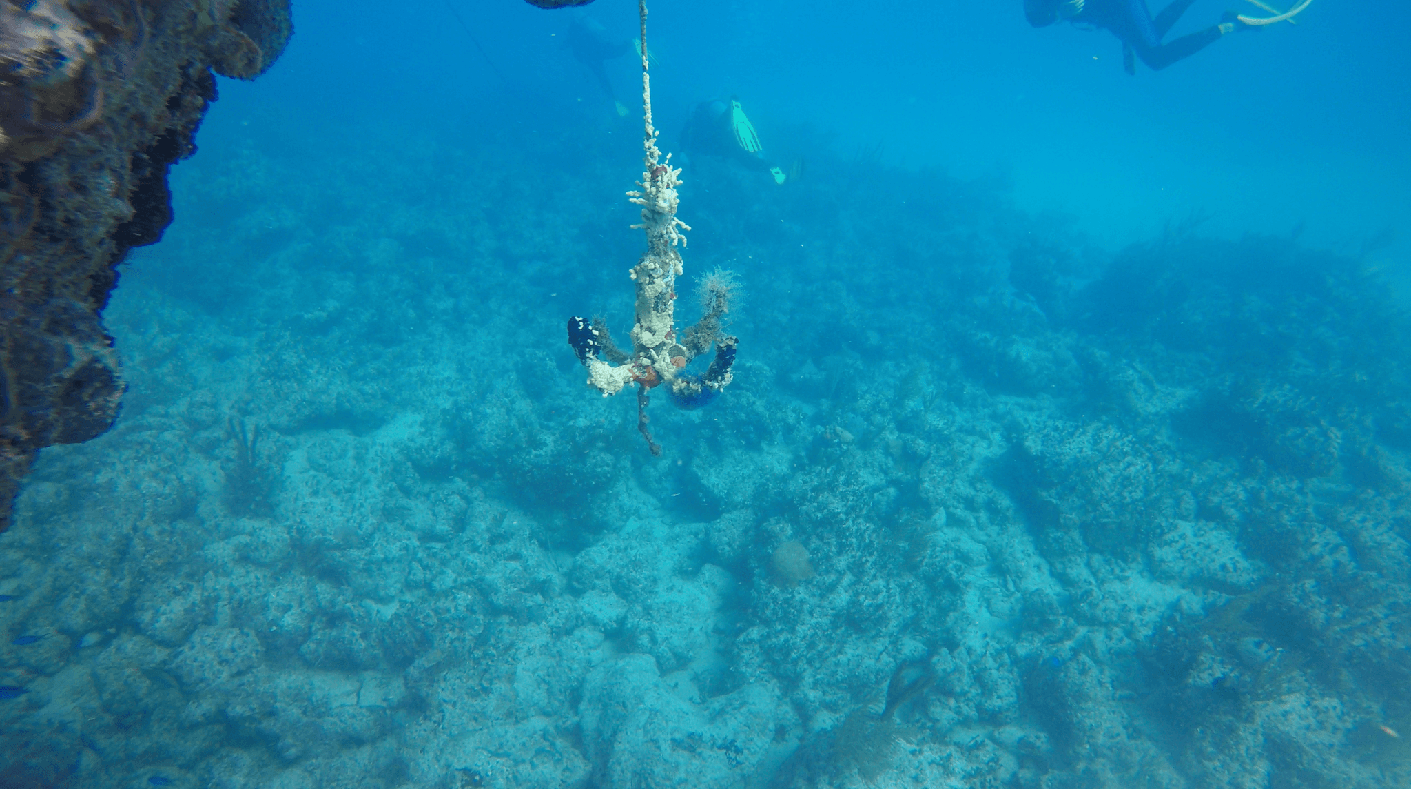 Initial concept sketch