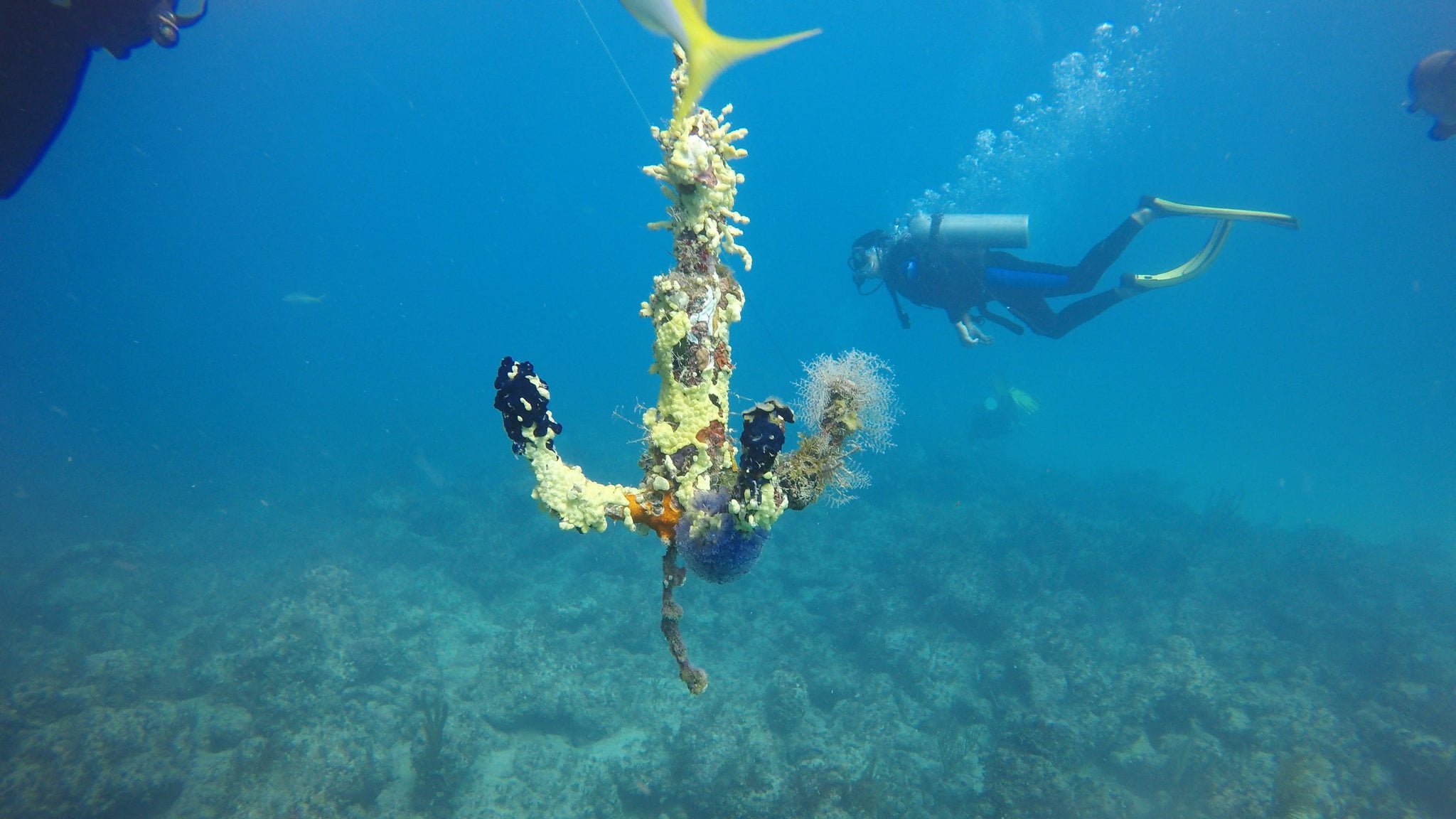 Underwater inspiration