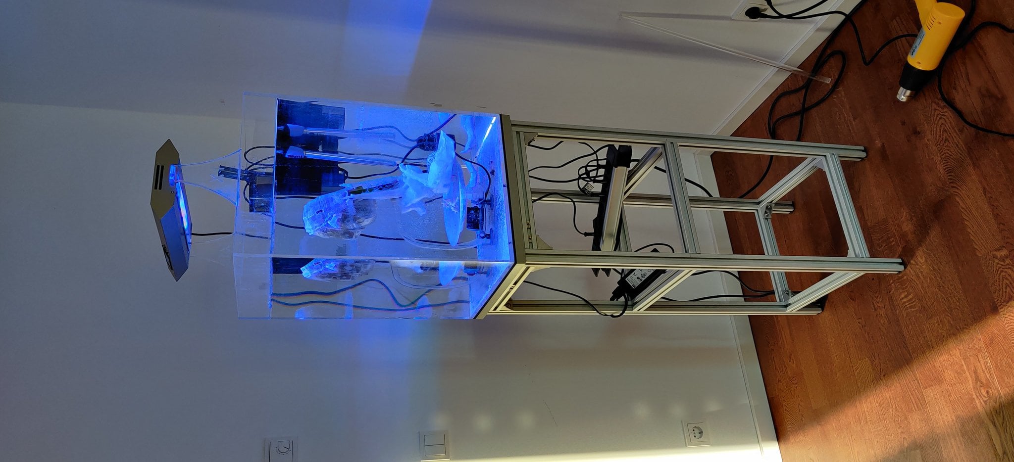 Microorganism development