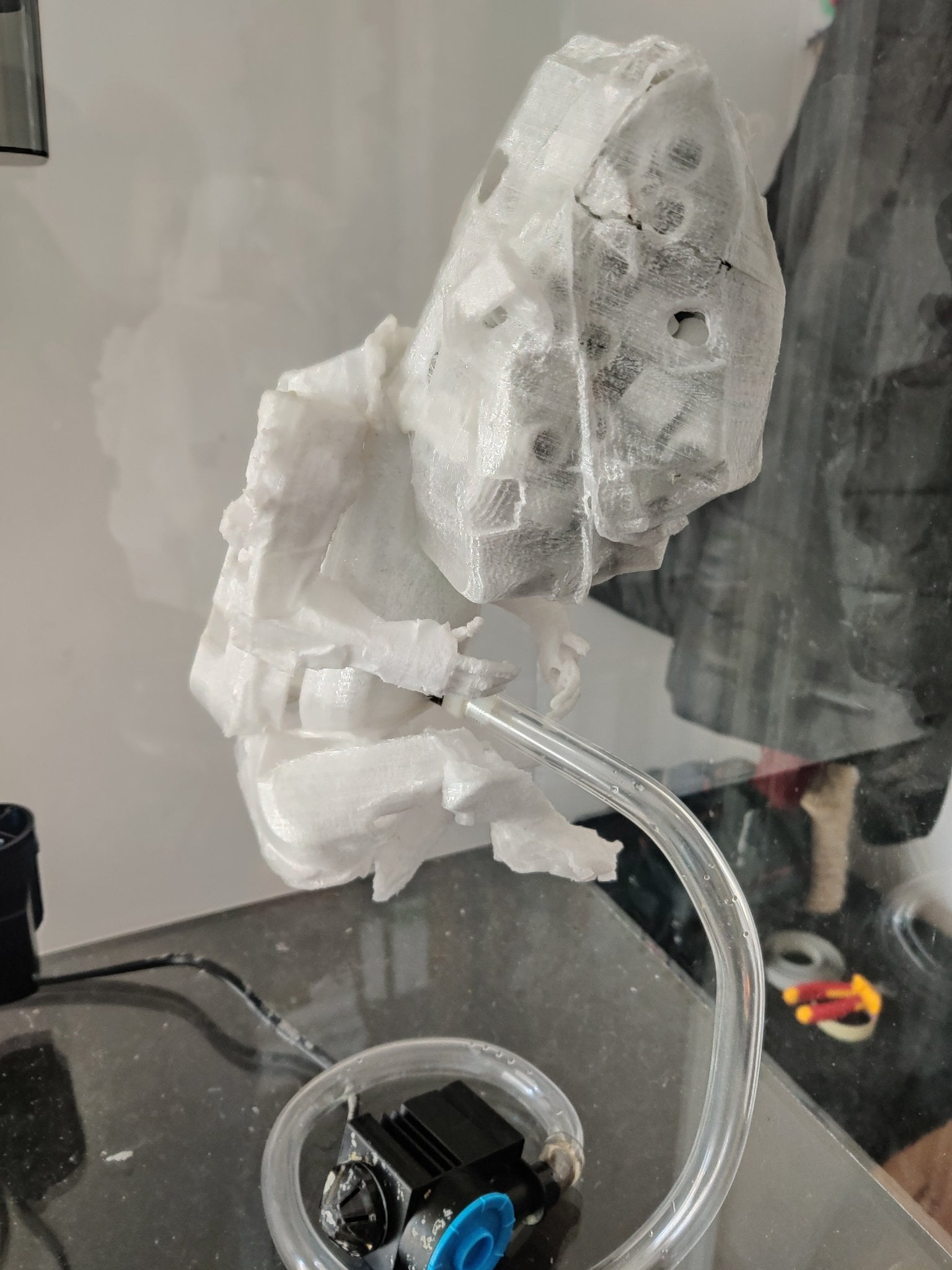 Reef ecosystem beginning