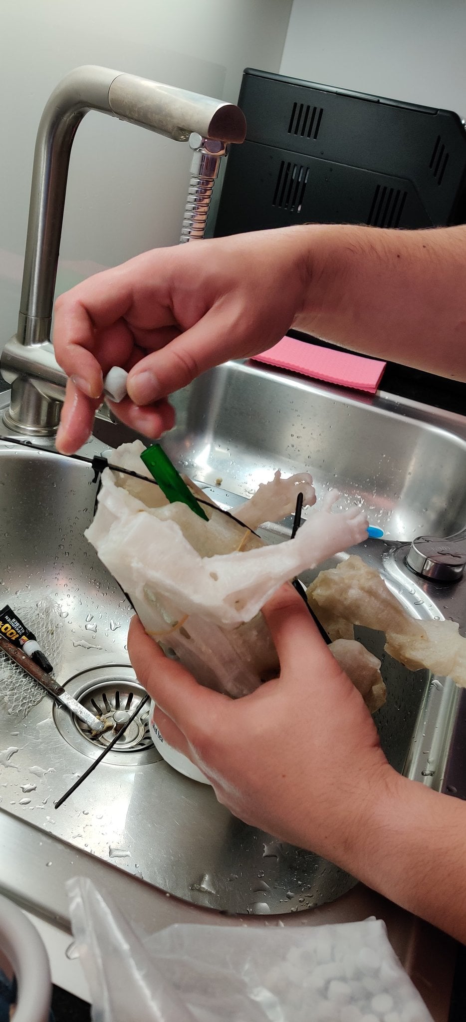 Early bacteria colonization