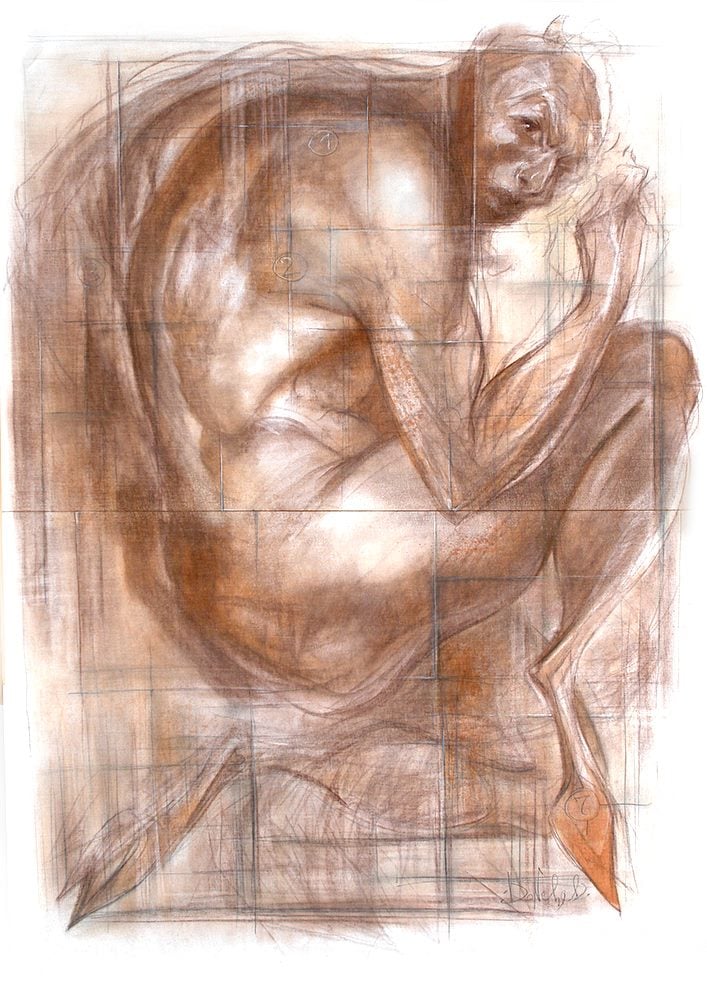 Satyr-I