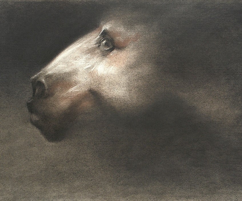 Head of Centaur - I