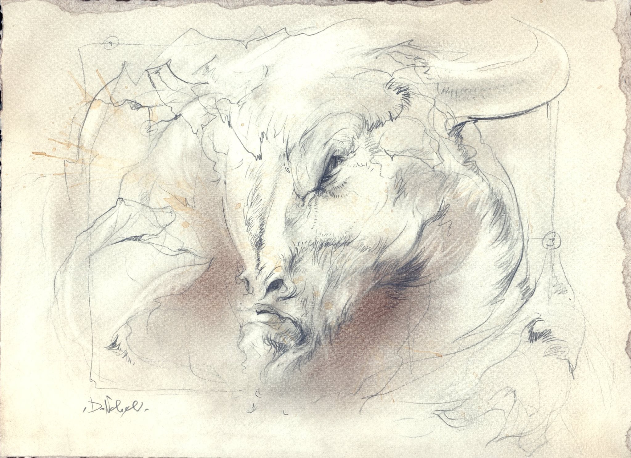Codex Metamorphoses