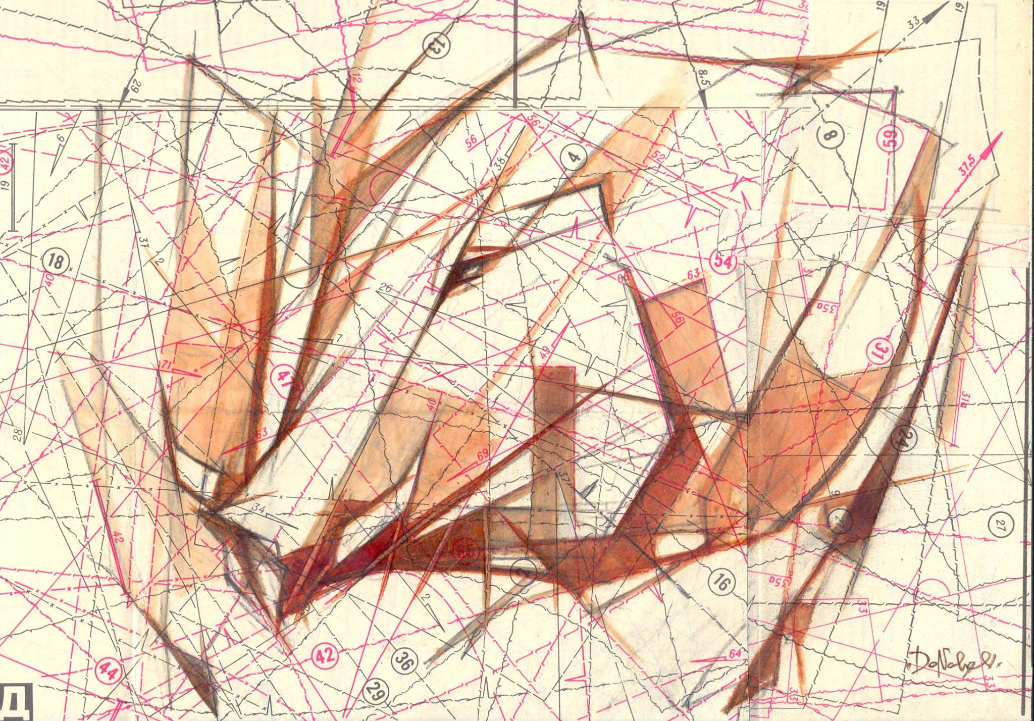 Codex Metamorphoses